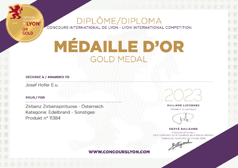 Diplom Lyon
