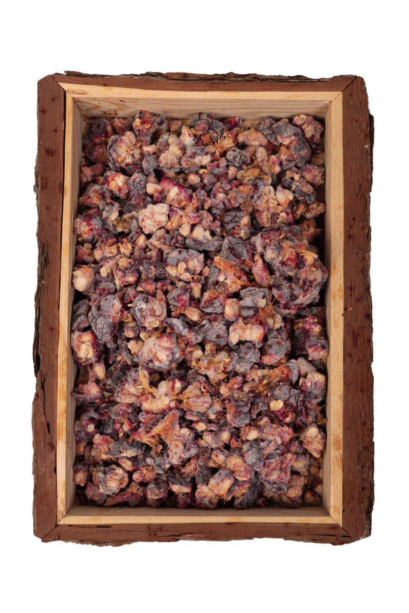 Zirbenzapfen gehäckselt